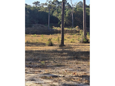 Discover the perfect setting for your coastal dream home on this on Sea Trail Golf Resort in North Carolina - for sale on GolfHomes.com, golf home, golf lot