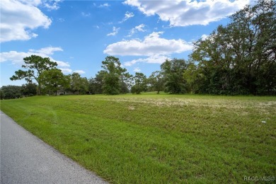 Estate lot just waiting for your dream home! Over 3/4 of an acre on Black Diamond Ranch Golf Course in Florida - for sale on GolfHomes.com, golf home, golf lot