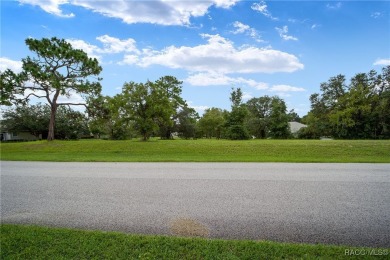 Estate lot just waiting for your dream home! Over 3/4 of an acre on Black Diamond Ranch Golf Course in Florida - for sale on GolfHomes.com, golf home, golf lot