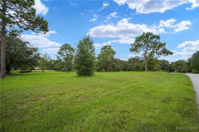 Estate lot just waiting for your dream home! Over 3/4 of an acre on Black Diamond Ranch Golf Course in Florida - for sale on GolfHomes.com, golf home, golf lot