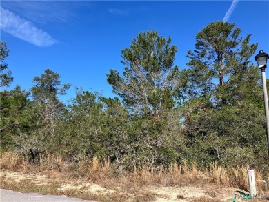 Beautiful 70 x 120 lot on cul sac street with Northern rear on Sugarmill Woods Golf and Country Club in Florida - for sale on GolfHomes.com, golf home, golf lot