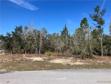 Beautiful 70 x 120 lot on cul sac street with Northern rear on Sugarmill Woods Golf and Country Club in Florida - for sale on GolfHomes.com, golf home, golf lot