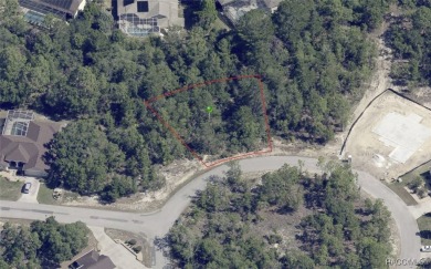 Beautiful 70 x 120 lot on cul sac street with Northern rear on Sugarmill Woods Golf and Country Club in Florida - for sale on GolfHomes.com, golf home, golf lot