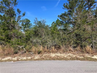 Beautiful 70 x 120 lot on cul sac street with Northern rear on Sugarmill Woods Golf and Country Club in Florida - for sale on GolfHomes.com, golf home, golf lot