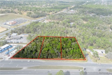 This prime multi-parcel land development opportunity is located on Brentwood Farms Golf Club in Florida - for sale on GolfHomes.com, golf home, golf lot