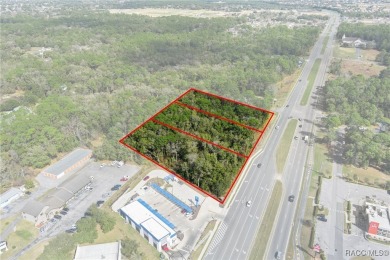 This prime multi-parcel land development opportunity is located on Brentwood Farms Golf Club in Florida - for sale on GolfHomes.com, golf home, golf lot