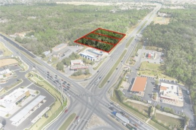 This prime multi-parcel land development opportunity is located on Brentwood Farms Golf Club in Florida - for sale on GolfHomes.com, golf home, golf lot