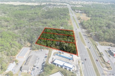 This prime multi-parcel land development opportunity is located on Brentwood Farms Golf Club in Florida - for sale on GolfHomes.com, golf home, golf lot