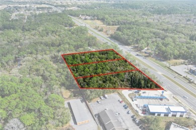 This prime multi-parcel land development opportunity is located on Brentwood Farms Golf Club in Florida - for sale on GolfHomes.com, golf home, golf lot