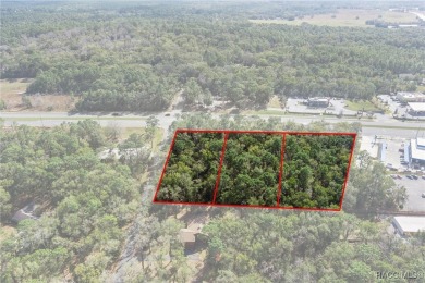 This prime multi-parcel land development opportunity is located on Brentwood Farms Golf Club in Florida - for sale on GolfHomes.com, golf home, golf lot