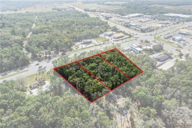 This prime multi-parcel land development opportunity is located on Brentwood Farms Golf Club in Florida - for sale on GolfHomes.com, golf home, golf lot