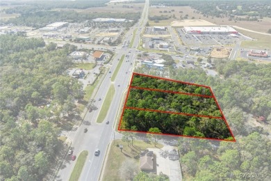 This prime multi-parcel land development opportunity is located on Brentwood Farms Golf Club in Florida - for sale on GolfHomes.com, golf home, golf lot