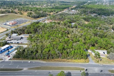 This prime multi-parcel land development opportunity is located on Brentwood Farms Golf Club in Florida - for sale on GolfHomes.com, golf home, golf lot