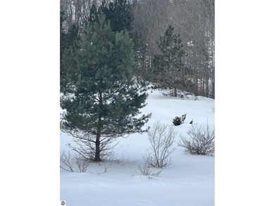 Tee up your dream lifestyle on this exceptional vacant lot! on Shanty Creek Golf Course in Michigan - for sale on GolfHomes.com, golf home, golf lot