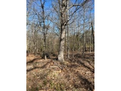 Perfectly Located Lot - 2 Blocks to Kingsdale Recreation and on Bella Vista Country Club - Berksdale in Arkansas - for sale on GolfHomes.com, golf home, golf lot