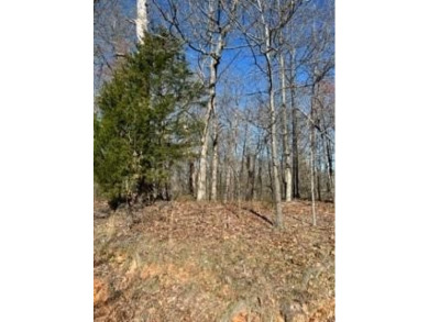 Perfectly Located Lot - 2 Blocks to Kingsdale Recreation and on Bella Vista Country Club - Berksdale in Arkansas - for sale on GolfHomes.com, golf home, golf lot