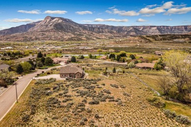 Stop the car! Now envision your dream home sitting on this on Battlement Mesa Golf Course in Colorado - for sale on GolfHomes.com, golf home, golf lot