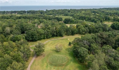 Discover the perfect blend of rustic charm and modern comfort in on Hardwoods Golf Club At Mille Lacs in Minnesota - for sale on GolfHomes.com, golf home, golf lot