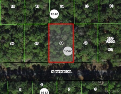Quarter acre lot located in Citrus Springs, offering a on Citrus Springs Country Club in Florida - for sale on GolfHomes.com, golf home, golf lot