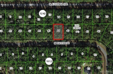 Quarter acre lot located in Citrus Springs, offering a on Citrus Springs Country Club in Florida - for sale on GolfHomes.com, golf home, golf lot