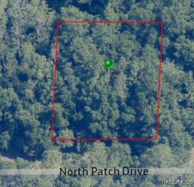 Quarter acre lot located in Citrus Springs, offering a on Citrus Springs Country Club in Florida - for sale on GolfHomes.com, golf home, golf lot