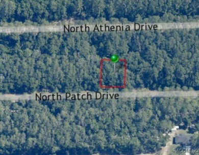 Quarter acre lot located in Citrus Springs, offering a on Citrus Springs Country Club in Florida - for sale on GolfHomes.com, golf home, golf lot
