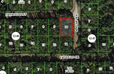 Corner lot located in Citrus Springs, offering a picturesque on Citrus Springs Country Club in Florida - for sale on GolfHomes.com, golf home, golf lot