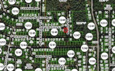 Corner lot located in Citrus Springs, offering a picturesque on Citrus Springs Country Club in Florida - for sale on GolfHomes.com, golf home, golf lot