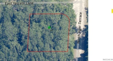 Corner lot located in Citrus Springs, offering a picturesque on Citrus Springs Country Club in Florida - for sale on GolfHomes.com, golf home, golf lot