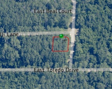 Corner lot located in Citrus Springs, offering a picturesque on Citrus Springs Country Club in Florida - for sale on GolfHomes.com, golf home, golf lot