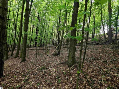 Nicely mature, wooded 1.07 acre lot in a quiet subdivision on A-Ga-Ming Golf Resort in Michigan - for sale on GolfHomes.com, golf home, golf lot