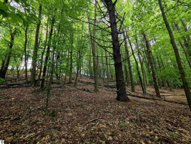 Nicely mature, wooded 1.07 acre lot in a quiet subdivision on A-Ga-Ming Golf Resort in Michigan - for sale on GolfHomes.com, golf home, golf lot