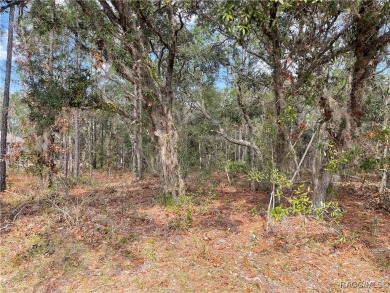 Premium Building Lot in Sugarmill Woods - Cypress Village on Sugarmill Woods Golf and Country Club in Florida - for sale on GolfHomes.com, golf home, golf lot