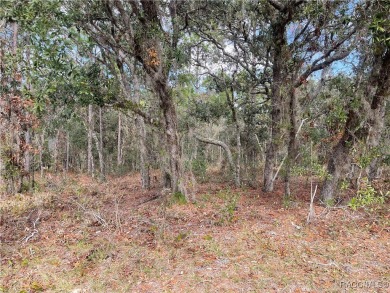 Premium Building Lot in Sugarmill Woods - Cypress Village on Sugarmill Woods Golf and Country Club in Florida - for sale on GolfHomes.com, golf home, golf lot