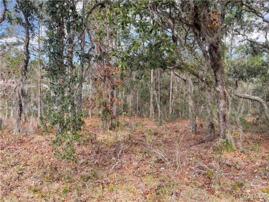 Premium Building Lot in Sugarmill Woods - Cypress Village on Sugarmill Woods Golf and Country Club in Florida - for sale on GolfHomes.com, golf home, golf lot