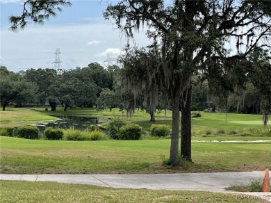 Premium Building Lot in Sugarmill Woods - Cypress Village on Sugarmill Woods Golf and Country Club in Florida - for sale on GolfHomes.com, golf home, golf lot