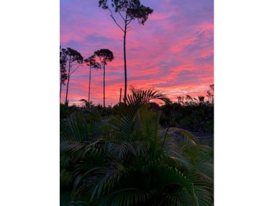 Seize this incredible opportunity to own a cleared, lot and on Rotonda Golf and Country Club - Long Marsh  in Florida - for sale on GolfHomes.com, golf home, golf lot