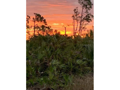 Seize this incredible opportunity to own a cleared, lot and on Rotonda Golf and Country Club - Long Marsh  in Florida - for sale on GolfHomes.com, golf home, golf lot