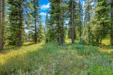 Direct Ski access from this custom homesite in Tamarack Resort on Osprey Meadows at Tamarack Resort in Idaho - for sale on GolfHomes.com, golf home, golf lot