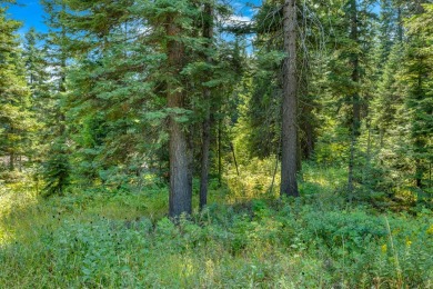 Direct Ski access from this custom homesite in Tamarack Resort on Osprey Meadows at Tamarack Resort in Idaho - for sale on GolfHomes.com, golf home, golf lot