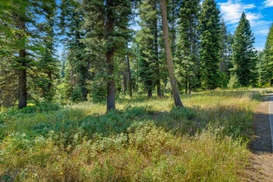 Direct Ski access from this custom homesite in Tamarack Resort on Osprey Meadows at Tamarack Resort in Idaho - for sale on GolfHomes.com, golf home, golf lot