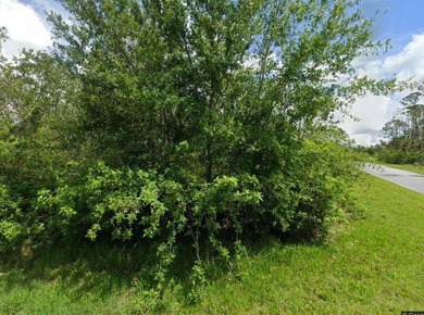 Beautiful residential and commercial corner land and the great on Riverwood Golf Club in Florida - for sale on GolfHomes.com, golf home, golf lot