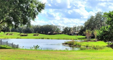 HIGHLY UPGRADED SIENA MODEL HOME 3 Bed + Den and 2 Car + GOLF on Stonegate Golf Club in Florida - for sale on GolfHomes.com, golf home, golf lot