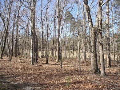 Beautiful golf course lot overlooking the fairways at Kerr Lake on  in North Carolina - for sale on GolfHomes.com, golf home, golf lot