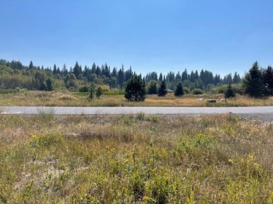 Southern views of the 7.8 acre pond and common area across the on McCall Municipal Golf Course in Idaho - for sale on GolfHomes.com, golf home, golf lot