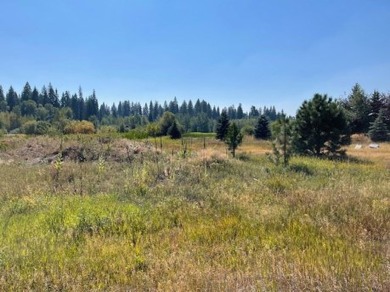 Southern views of the 7.8 acre pond and common area across the on McCall Municipal Golf Course in Idaho - for sale on GolfHomes.com, golf home, golf lot