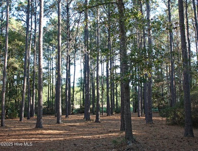 Rare supersized .76 lot acre. Golf Course homesite in a on Ocean Ridge Plantation in North Carolina - for sale on GolfHomes.com, golf home, golf lot