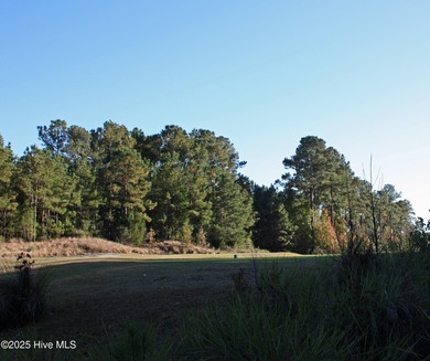 Rare supersized .76 lot acre. Golf Course homesite in a on Ocean Ridge Plantation in North Carolina - for sale on GolfHomes.com, golf home, golf lot