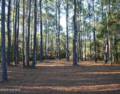 Rare supersized .76 lot acre. Golf Course homesite in a on Ocean Ridge Plantation in North Carolina - for sale on GolfHomes.com, golf home, golf lot