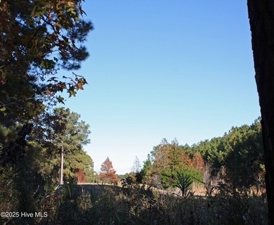 Rare supersized .76 lot acre. Golf Course homesite in a on Ocean Ridge Plantation in North Carolina - for sale on GolfHomes.com, golf home, golf lot